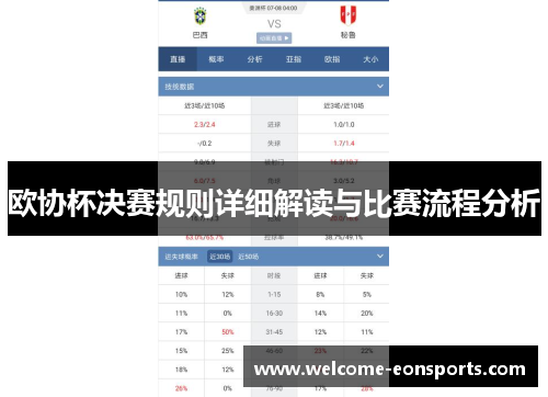 欧协杯决赛规则详细解读与比赛流程分析